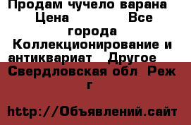 Продам чучело варана. › Цена ­ 15 000 - Все города Коллекционирование и антиквариат » Другое   . Свердловская обл.,Реж г.